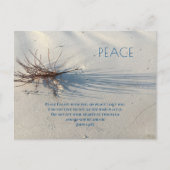 Beach Sand Dunes Peace Scripting Blank Briefkaarte Aankondigingskaart (Voorkant)