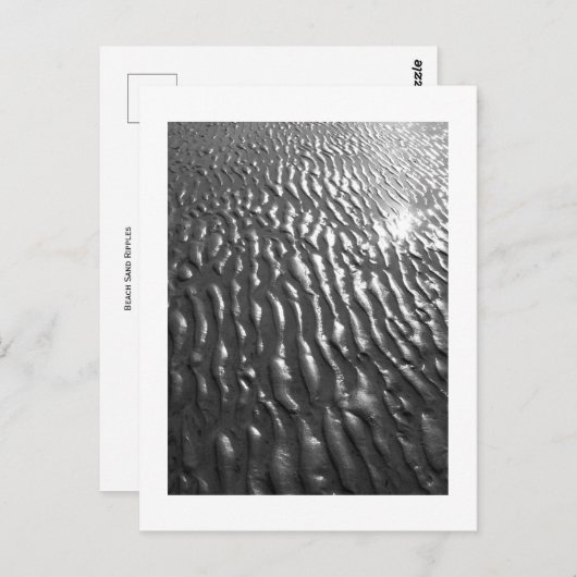 Beach Sand Ripples Briefkaart (Voorkant / Achterkant)