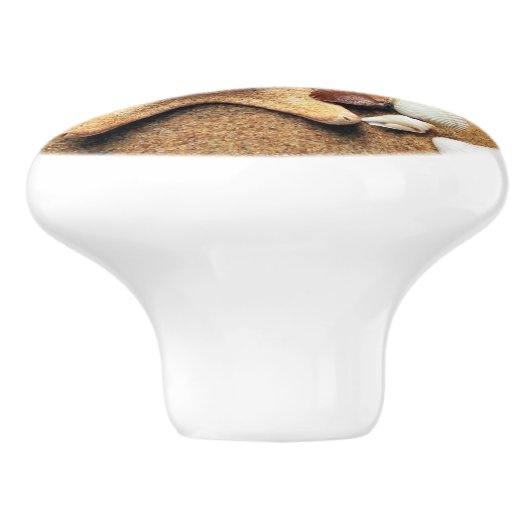 Beach Sand Shells Teken Knobs Ceramic Pull Keramische Knop (Zijkant)