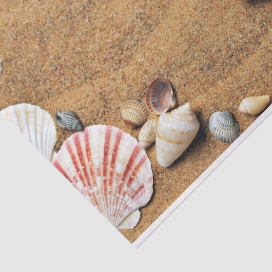 Beach Sand Shells Tissuepapier (Detail)