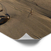Beach/Sand/Stones/Rocks/Pebbles Poster (Hoek)