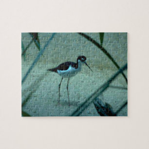 Beach Sandpiper Bird Legpuzzel