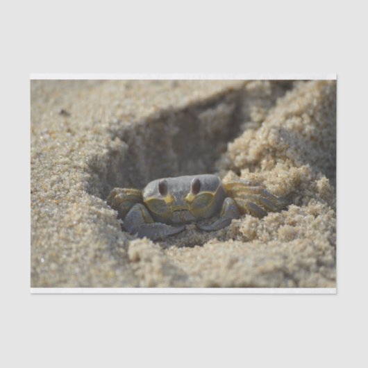 Beach Sandy Crab Decoupage Tissue Paper Tissuepapier (Voorkant)