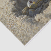 Beach Sandy Crab Decoupage Tissue Paper Tissuepapier (Detail)