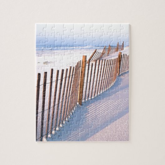 Beach Santa Rosa Island Seashore Legpuzzel (Verticaal)