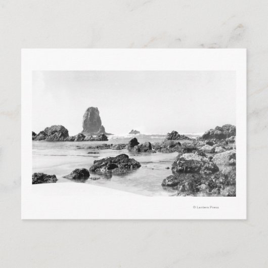 Beach scene bij Cannon Beach, Oregon Photografie Briefkaart (Voorkant)