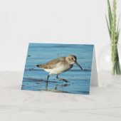 Beach Scene - Dunlin Bedankkaart (Voorkant)