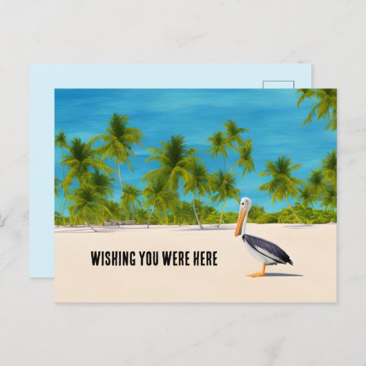 Beach Scene Palm Trees Pelican Ocean Uitzicht Brie Briefkaart (Voorkant / Achterkant)