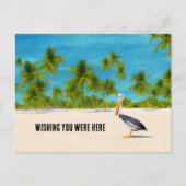 Beach Scene Palm Trees Pelican Ocean Uitzicht Brie Briefkaart (Voorkant)