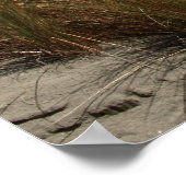 Beach Scene Poster (Hoek)