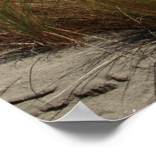 Beach Scene Poster (Hoek)