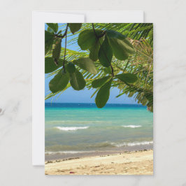 Beach scenery. Filipijnen. Moalboal. Witte strand. Kaart