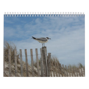 Beach Scenes 19 maands 2011-2012 Calendar Kalender