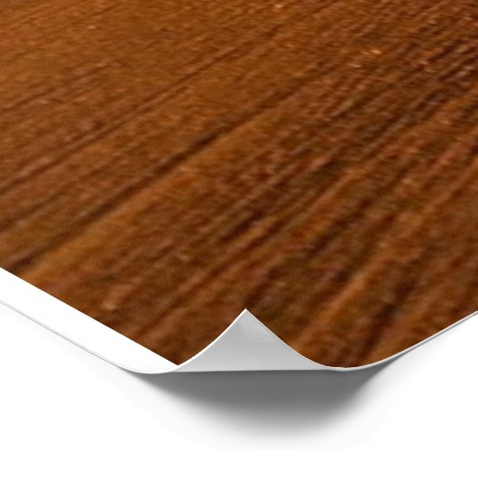 Beach Sea Sunset Sun Sunlight Sand Coast       Poster (Hoek)