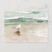 Beach Seagull Cove Briefkaart (Voorkant)