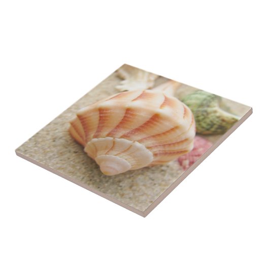 Beach Seashell Foto Tegeltje (Zijkant)