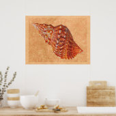  Beach Seashell Poster (Keuken)