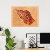  Beach Seashell Poster (Thuiskantoor)