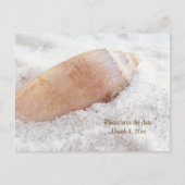 Beach Seashell Save the Date Wedding Briefkaart (Voorkant)