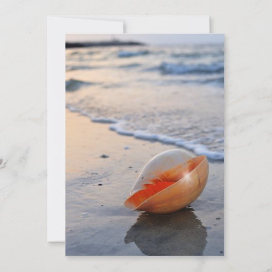 Beach Seashell Zee Viering van het leven Kaart (Achterkant)