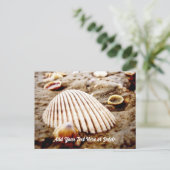Beach Seashells at Krabi Thailand, Briefkaart (Staand voorkant)