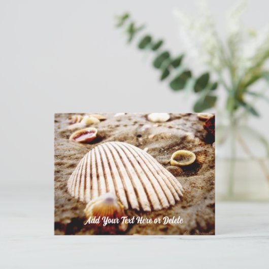Beach Seashells at Krabi Thailand, Briefkaart (Staand voorkant)