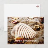 Beach Seashells at Krabi Thailand, Briefkaart (Voorkant / Achterkant)