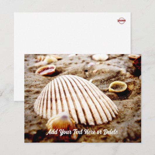 Beach Seashells at Krabi Thailand, Briefkaart (Voorkant / Achterkant)