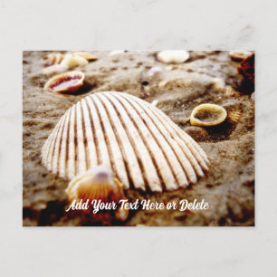 Beach Seashells at Krabi Thailand, Briefkaart