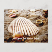 Beach Seashells at Krabi Thailand, Briefkaart (Voorkant)