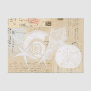 Beach Seashells Cream French Briefkaart Tissue Pap Tissuepapier
