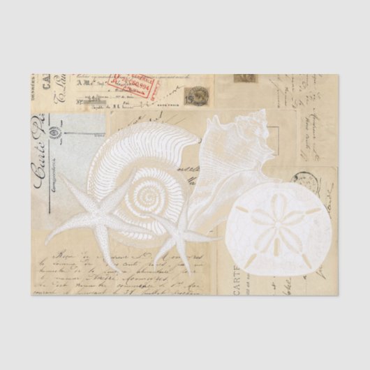 Beach Seashells Cream French Briefkaart Tissue Pap Tissuepapier (Voorkant)