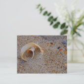 Beach Shell Briefkaart (Staand voorkant)