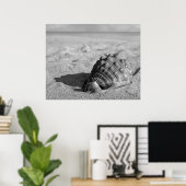 Beach Shell Poster (Thuiskantoor)