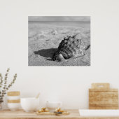 Beach Shell Poster (Keuken)
