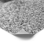 Beach Shell Poster (Hoek)