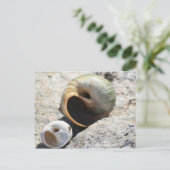 Beach Shells Briefkaart (Staand voorkant)