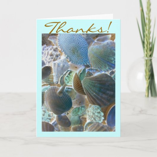Beach Shells Dank je wel kaart (Voorkant)