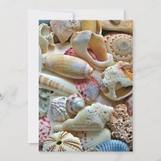 Beach Shells Happy Retirement Party Invitation Kaart (Achterkant)
