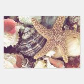 Beach Shells Inpakpapier Vel (Voorkant 2)