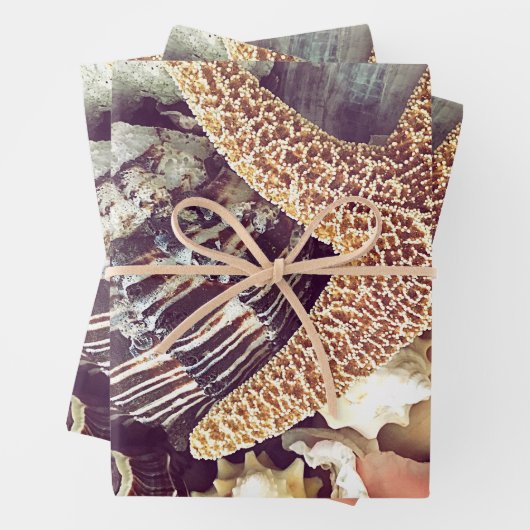 Beach Shells Inpakpapier Vel (In situ)