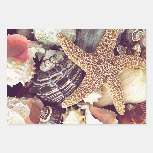 Beach Shells Inpakpapier Vel (Voorkant)