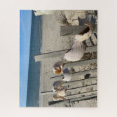 Beach Shells on a Fence by the Ocean Puzzle Legpuzzel (Verticaal)