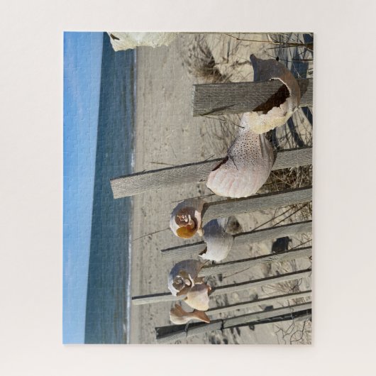 Beach Shells on a Fence by the Ocean Puzzle Legpuzzel (Verticaal)