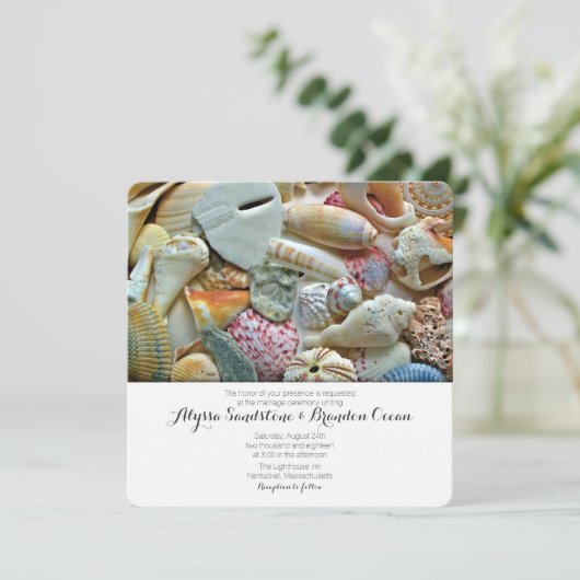 Beach Shells Tropical Designer Weddenschap Kaart (Staand voorkant)