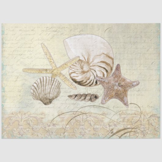 Beach Shells Waterverf Ephemera ontkoppeling Tissuepapier (Voorkant)
