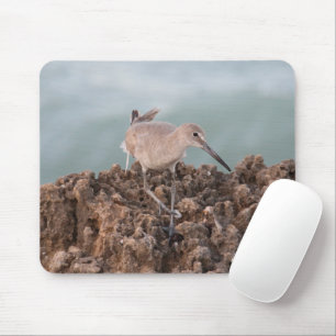 Beach Shorebird met Seafoam GreenOcean Background Muismat