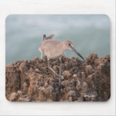 Beach Shorebird met Seafoam GreenOcean Background Muismat (Voorkant)