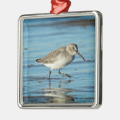 Beach Shorebird Scene - Dunlin Metalen Ornament (Links)