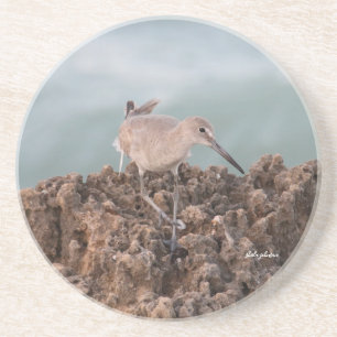 Beach Shorebird Willet met Blauwgroen oceaanachter Zandsteen Onderzetter